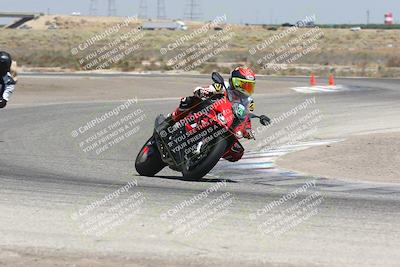 media/Aug-03-2024-TrackDaz (Sat) [[30bed884ff]]/C Group/1240pm (Grapevine)/